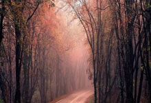 九游：世体：巴萨竞技主帅米拉将带队踢加泰杯，一线队球员不会参赛.