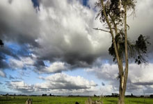 九游：英媒：C罗岁还能保持好身材，一道葡萄牙菜是他的最爱.