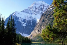 有容乃大！日本顶级人妻在线！！！.