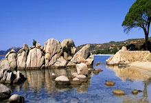 [流言板]足总杯：利物浦4-0阿克灵顿，基耶萨打入加盟红军首球.